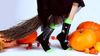 Halloween Spooky Spider Socks Black and Green Socks Halloween Gifts
